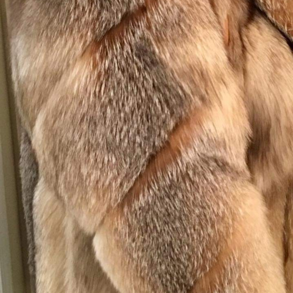 Fox fur - Picture 2 of 4